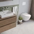 FREE  WC + Bidet 2V1